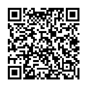 接着就是郑冲和张涛等人也跟着雇佣兵一起出了车厢二维码生成