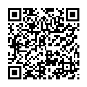 接着就看见十余名禁军亲卫护卫着童贯大步走出来二维码生成