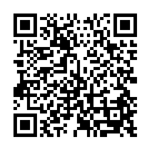 接着巴克就看见那浅蓝色瞳孔前面迅速聚集起大量的液体二维码生成