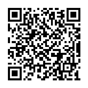 接着所有雪狼扬起脖子向着部落的方向开始嗥叫二维码生成