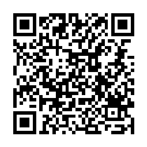 接着族长开始和韩风念叨着起当初在焚龙岛上的日子二维码生成