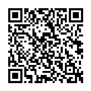 接着杨洛又举起相机对着哈利咔嚓咔嚓一阵猛拍二维码生成