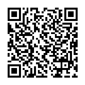 接着这颗渴望权势的种子如汲取了足够的营养一样二维码生成