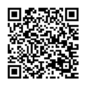 接过一支装着双弹匣的ak步枪就蹦跳着到车头前面帮鬣狗探路二维码生成