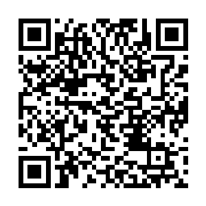 接连几日以来的压抑到极致的痛苦终于在这一刻崩溃二维码生成