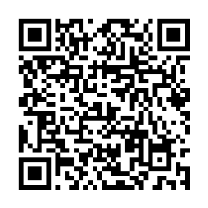 接连的打击毫无征兆的就落在了兰云曦的身上……二维码生成