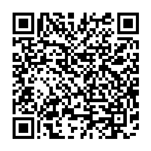 提供了体内这些化学元素和细胞物质交换的基本条件也就是氧气・・・・・・二维码生成