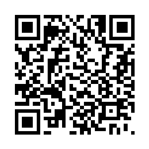 提前研究了下临夜国的藤类植物典籍二维码生成