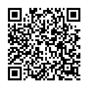 提起荣耀至死队伍之中包括了雨果这名近期炙手可热的演员二维码生成