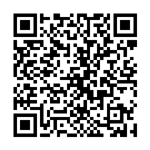 提起马鞭指了指前方几乎已经看到背影的那对兄弟二人二维码生成