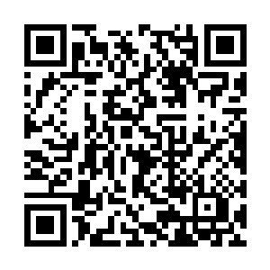 提醒……种种反复无常的战略……全是为了这一击二维码生成