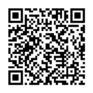 插入广州与佛山之间的是林凤祥亲领的第五军第一师二维码生成