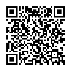 握紧那白金重盾和圣剑便主动朝督瑞尔冲了过去二维码生成