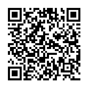 搭在他肩膀上的手早已用真气悄悄检查了一遍苍漠的身体二维码生成