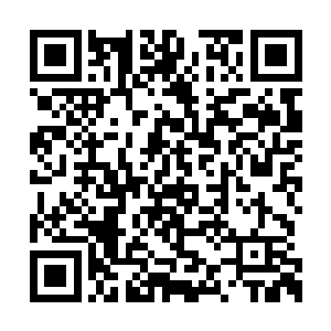 携带着一股寒冷的阴气一脚踢向扑面而来的火龙二维码生成