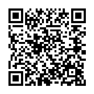 摄人心魄的尖啸和鬼哭狼嚎的风暴怒号混在一起二维码生成