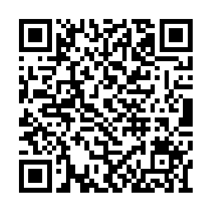 摄魂幡的威力很大程度上取决于器灵的强悍程度二维码生成