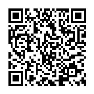 摆放在她周围的数十种材料齐齐飞进了天火炉上二维码生成