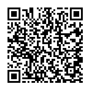 摇头假装惋惜地表示马戈尔学院这次在圣杯争夺战中恐怕又要垫底了二维码生成