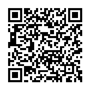摸摸警惕的将剩下的饼子藏起来的小孩子的小脸二维码生成