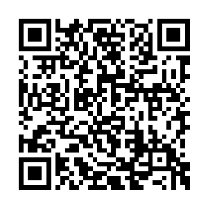 撑在自己胖腿上的小屁屁不着痕迹的左右挪了挪二维码生成