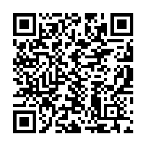 撸起袖子便按照朱平安写的典籍归档排序方法整理起了架二维码生成