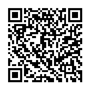 操控天狼的那块石头和那一汪清水也是堪称石怪水精二维码生成