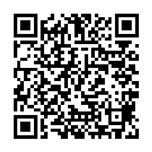 操纵这五行柳叶飞刀并不能完全发挥飞刀的威力二维码生成