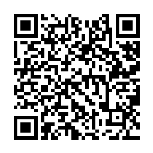 擎天大帝的目光瞬间落到了杨戬手中的龙魂枪之上二维码生成