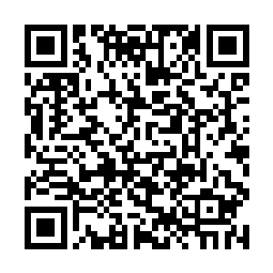 擎天柱才抽出刺穿了他脚下那只圣甲虫人头颅的重剑二维码生成