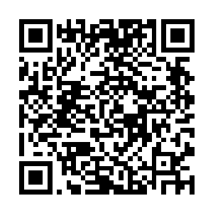 擦完后又像模像样的把手中的毛巾放进旁边的盆子里二维码生成