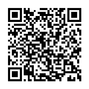 支持自己的领导同志又为什么没有站出来表态呢二维码生成