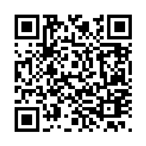 收一个不能驱使不能替她出手的灵宠二维码生成