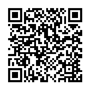 收拾完东西乌灵去关院门的时候发现院子外面好像有个人影二维码生成