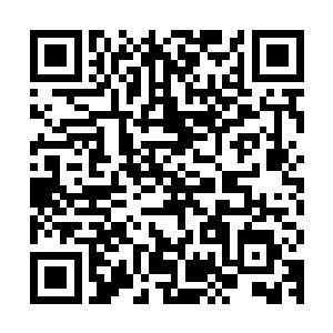 收获相当于两个等级的经验值以及数十万金币和材料装备的收获二维码生成