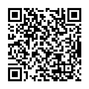 收藏数据对于本书的后续推荐和未来前景非常重要二维码生成