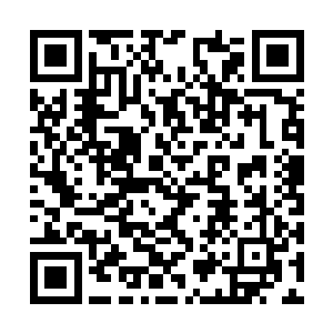 改变形象后却不急于离开这个已经大兵压境的区域二维码生成