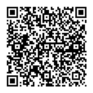 攻击力可就明显不如陆天风这样的强势了……更别说陆天风的气息之中隐藏着一些诡异莫测的力量二维码生成