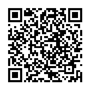 攻击和防御都不是两个刚进入道三境的仙家能比的二维码生成