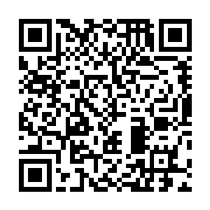攻击纳甲土尸的是那头被纳甲土尸打伤的小太古熔岩神兽二维码生成