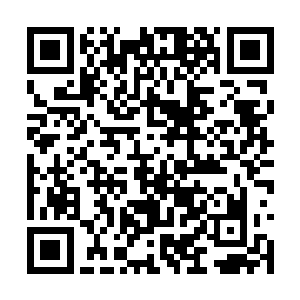 放任它将这件事带回灵界……那对灵界的声誉而言二维码生成