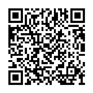 放在五个学府四十五半圣榜上的高手也不算弱了二维码生成