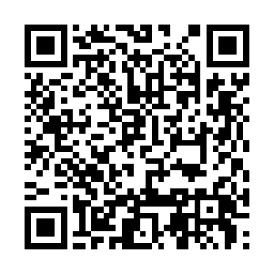 放在外面的话绝对都是被所有势力敬为上宾的存在二维码生成