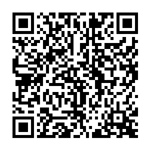 放心……说到能打……你根本不知道我见过真正能打的人是什么样子的二维码生成