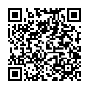 放着虫族不杀反而要抓他们去抱宁搏少将的大腿二维码生成