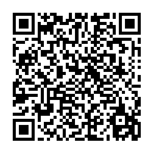 放走了他们部落一下子少了很多劳力会影响这个落叶季节储存食物的数量二维码生成