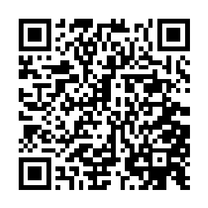 政府在当天就同意了联手向奥斯曼帝国施压的决定二维码生成