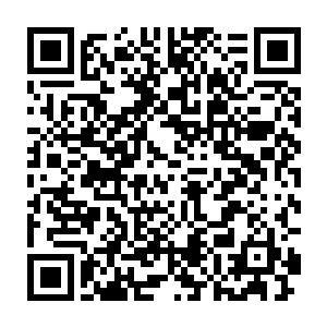 政府才会在每个月的一天给这个乞丐把救济金打进银行帐户里去呀二维码生成