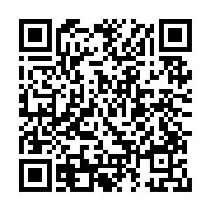 政fǔ在前期是不可能将收来的税款分给老百姓的二维码生成