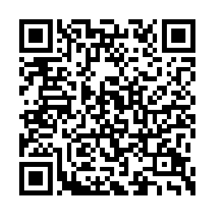 故意做出恋奸情热表情的巴克提出要带上古丽莎二维码生成